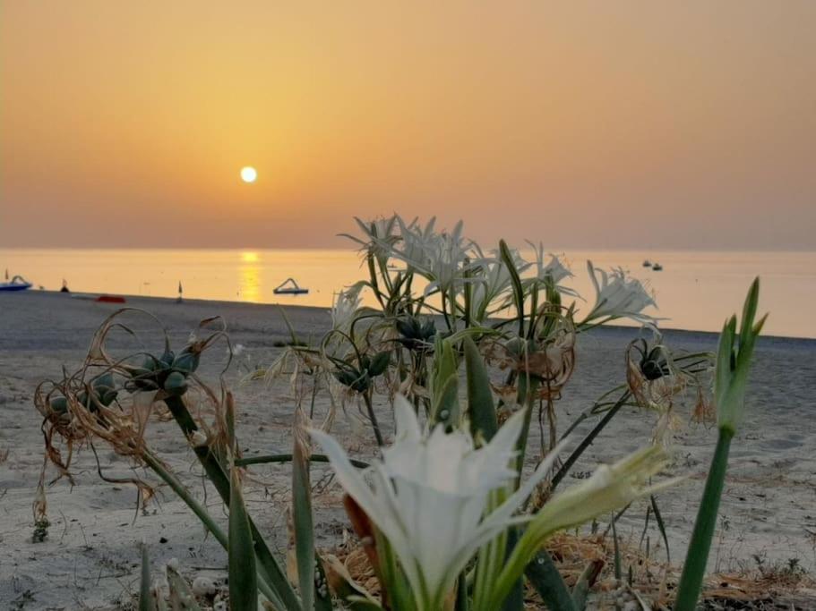 Casa Lulu Due Minuti Dal Mare Apartment Ardore Marina Luaran gambar